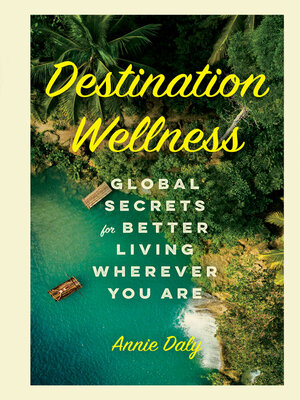 cover image of Destination Wellness